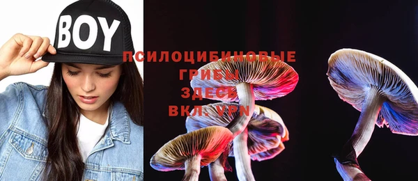 альфа пвп Кукмор