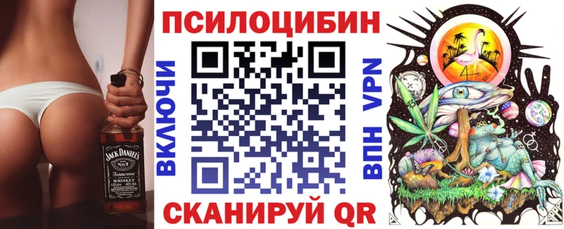 Галлюциногенные грибы Psilocybe  Купить закладки  Надым 